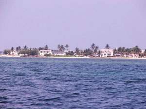 New Plymouth settlement