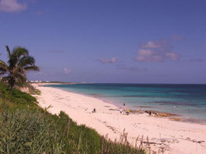 Beach at Nippers